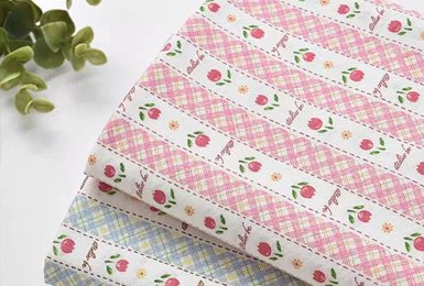 蒸化機的發展歷程